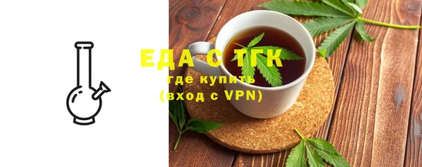 индика Невьянск