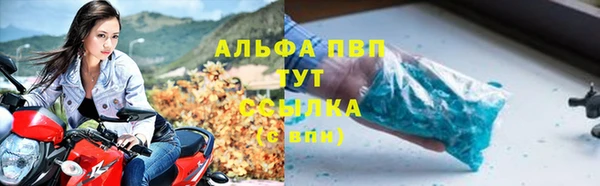 тгк Невель