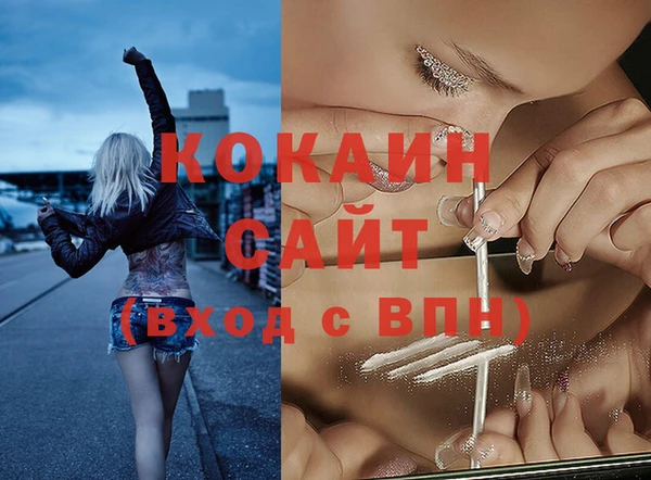 ПСИЛОЦИБИНОВЫЕ ГРИБЫ Пересвет