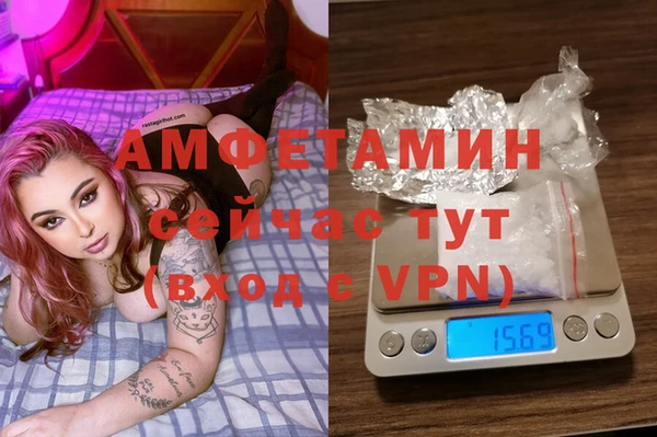 индика Невьянск