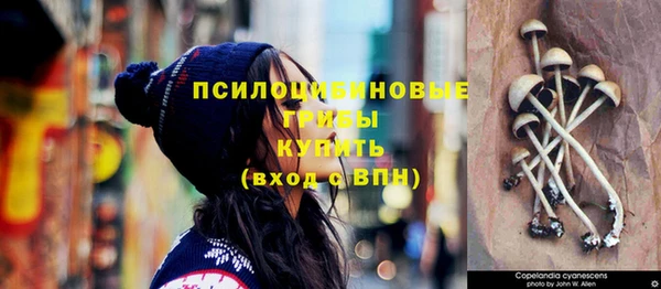 эйфоретик Пестово