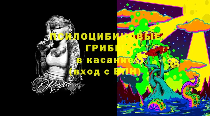 где найти Абинск Галлюциногенные грибы MAGIC MUSHROOMS