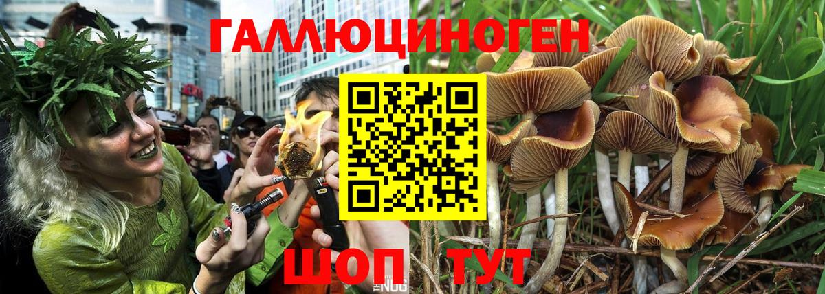 Псилоцибиновые грибы мицелий Абинск