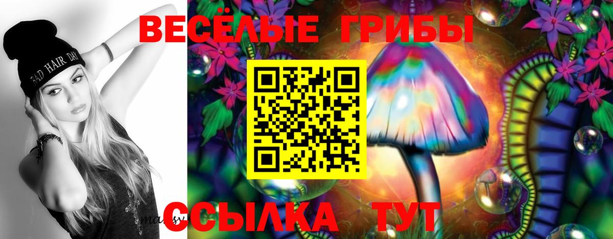 Галлюциногенные грибы мухоморы Абинск