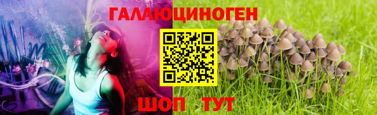 Абинск  Галлюциногенные грибы MAGIC MUSHROOMS  Вход с VPN 
