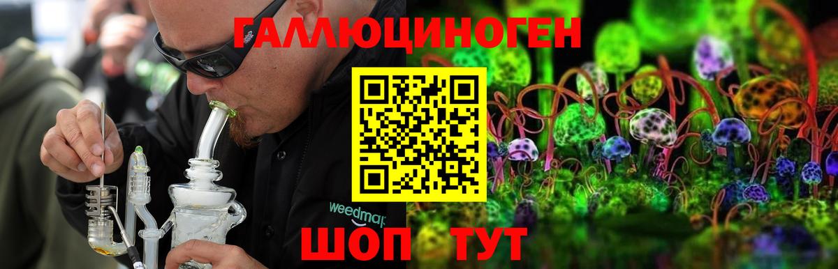 Галлюциногенные грибы Cubensis  купить   Абинск 